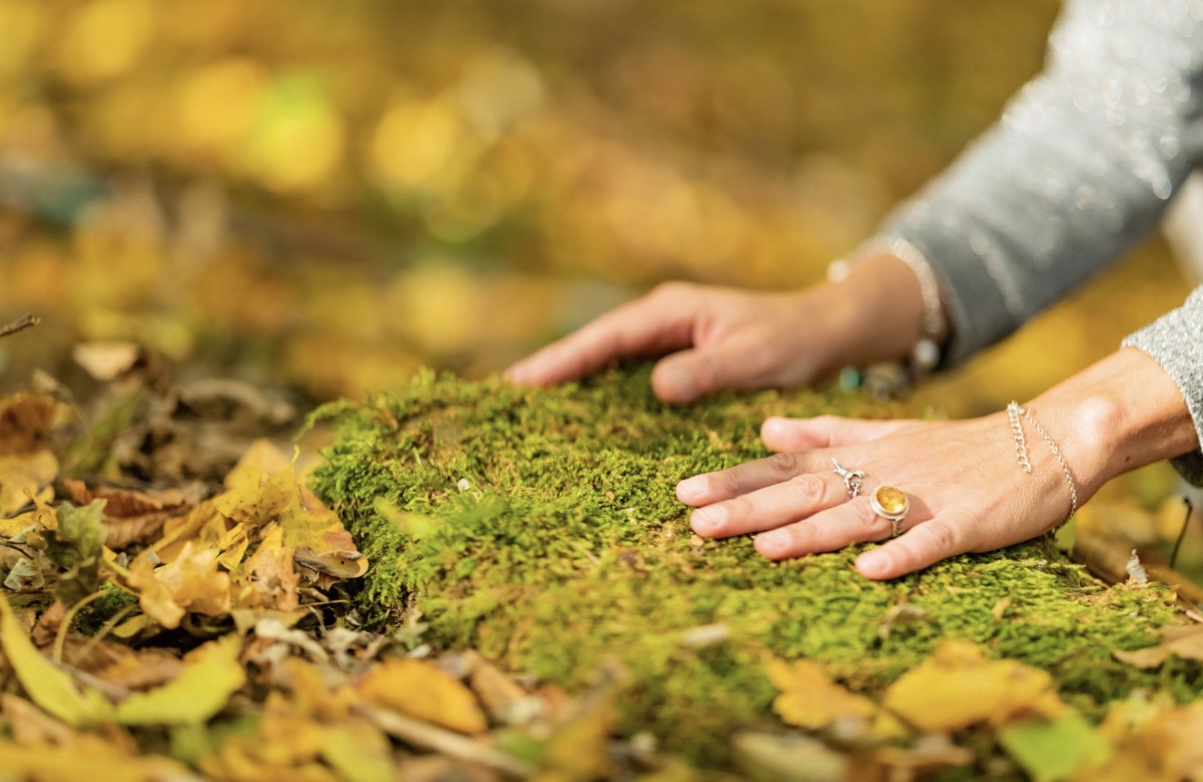 Forest Grounding Ritual Kit